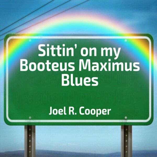 Cover art for Sittin' on My Booteus Maximus Blues
